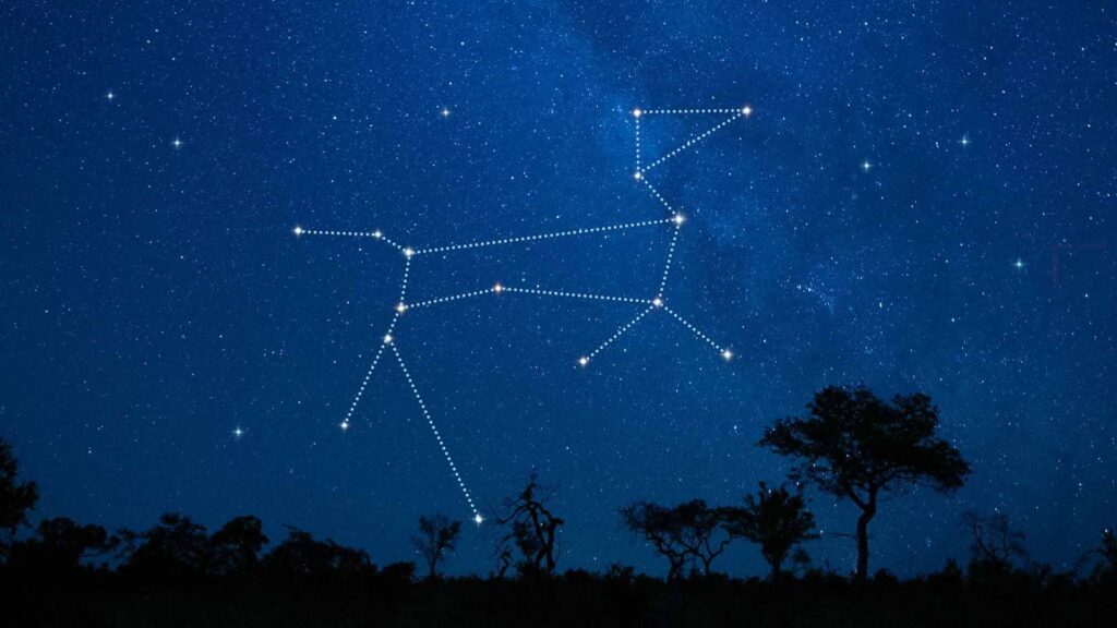 Canis Major Constellation